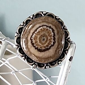 ~Brown Solar Agate Bezel Set Ring With Lovely Loop And Dot Design Around Stone~